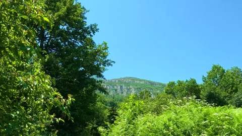 Lush green trees frame a distant hillside. Mount Rtanj, Serbia 库存影片 342314562