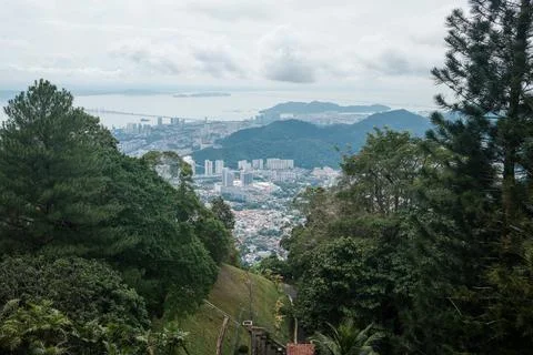 Lush green trees frame a distant city skyline Stock Photos
