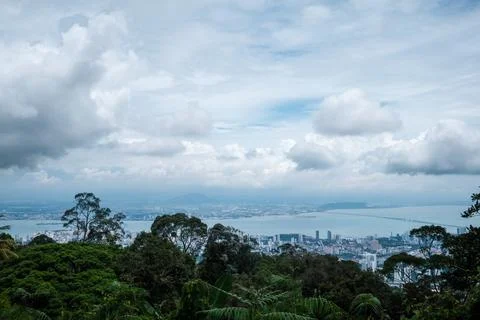 Lush green trees frame distant city skyline Stock Photos