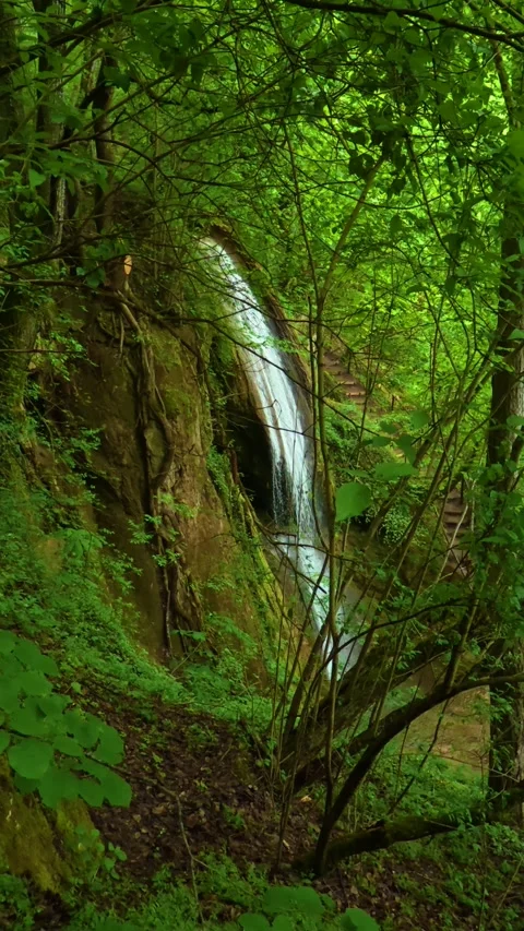 Lush green trees frame a gentle waterfall. Sokobanja, Serbia. Vertical Vídeos de archivo 335953511