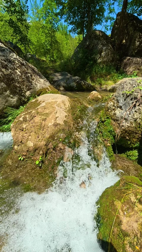 Lush green trees frame the natural, serene. Gradasnica River Canyon, Vertical Vidéo 342327697