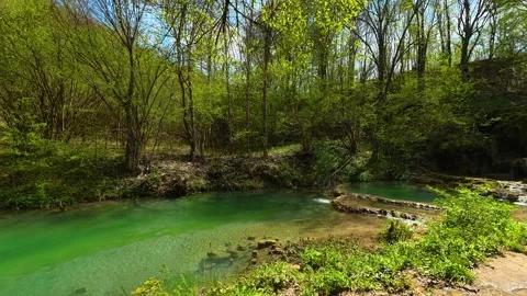 Lush green trees frame a serene emerald pool. Balkan, Eastern Europe, POV Video stock 333589014