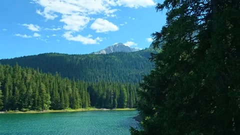 Lush green trees frame a serene turquoise lake. Black Lake, Montenegro 스톡 동영상 342973809