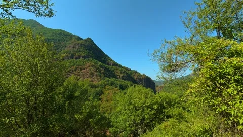 Lush green trees frame a sunlit mountain peak. Temska River Canyon, Serbia 動画素材 345897848