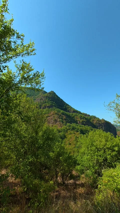 Lush green trees frame a sunlit mountain peak. Temska River Canyon, Vertical 動画素材 345898103