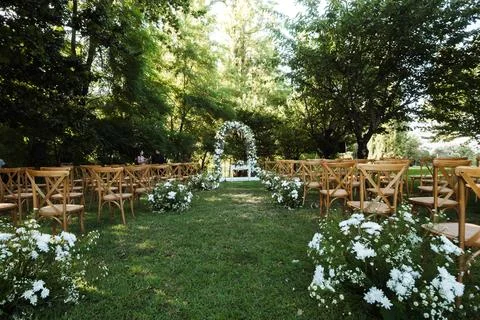 Lush green trees frame a tranquil outdoor setting 库存照片