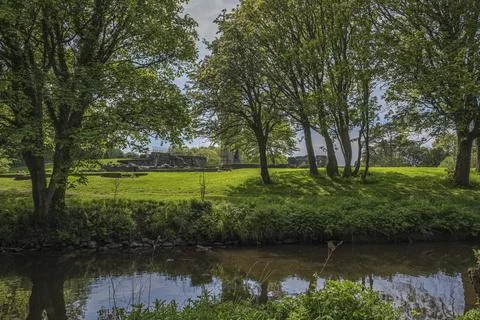 Lush green trees frame a tranquil riverbank Stock Photos
