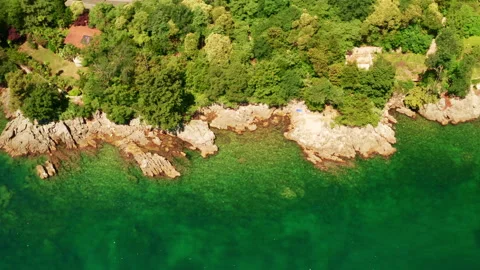 Lush green trees growing on cliffs of island at Gulf of Lima Vidéo 170497656