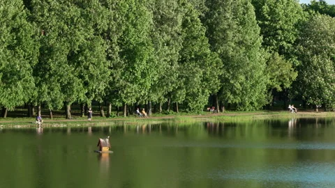 Lush green trees line calm lake water Stock-Footage 335834262