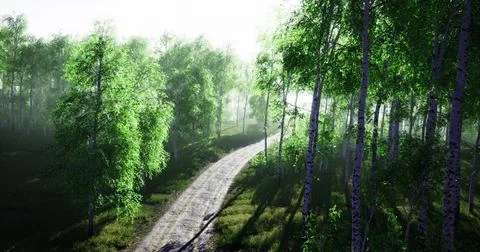 Lush green trees lining a winding dirt path in a serene forest setting Stock Illustration