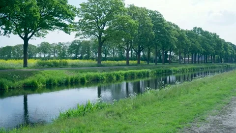 Lush green trees reflecting in a tranquil canal Vídeo Stock 336845285