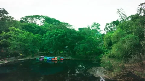 Lush green trees surround calm lake waters Stock Footage 340059258