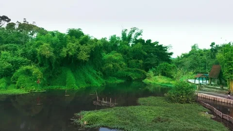 Lush green trees surround calm lake waters Stock Footage 340062797