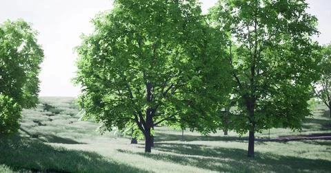 Lush green trees thrive in a vibrant landscape during daylight hours Stock Illustration
