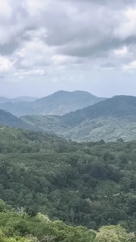 Lush Green Tropical Mountain Valley View Under Cloudy Summer Sky Stock Footage 341900245