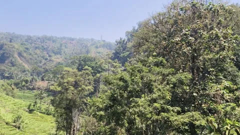 Lush green valley and forest landscape view Stock Footage 346659260