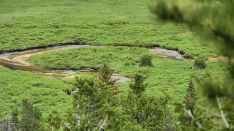 Lush Green Valley of Fall River in the Colorado Rockies Stock-Footage 82149069