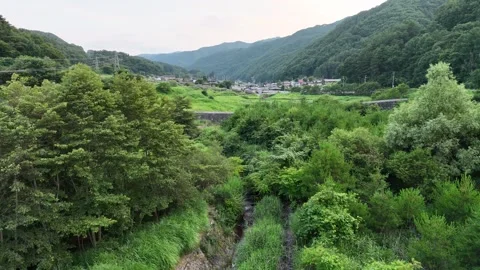 Lush green valley flows beneath overcast sky Vídeos de archivo 343249028