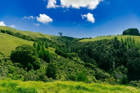 Lush Green Valley Hills Under Bright Sky Foto stock