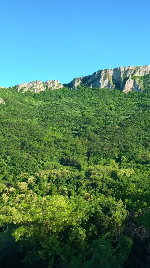 Lush green valley slopes under clear blue sky. Sicevo Gorge, Serbia. Vertical Stock Footage 337058622