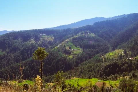 Lush Green Valley with a Step Farm on a Hill, 5K Stock Photos