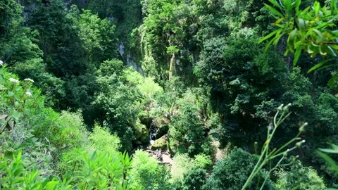 Lush green valley with a stream flowing through the forest Stockbeeldmateriaal 333696119