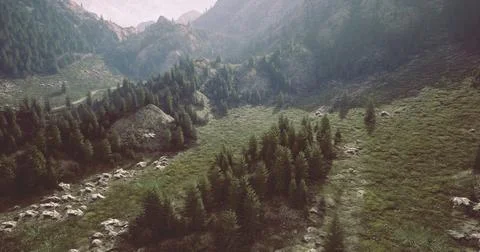 Lush green valley surrounded by mountains features a serene landscape scenery Stock Illustration