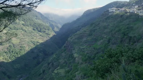 Lush green valley with terraced hills in madeira, portugal slow motion Video stock 333695853
