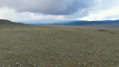 Lush green valley under cloudy sky Video stock 330759879