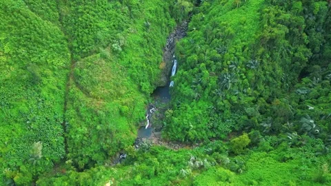 Lush Green Valley Waterfall Stock Footage 322822933