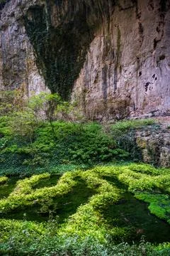 Lush green vegetation inside massive cave overhang Bulgaria Stock Photos