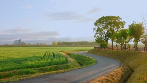 Lush Green Wheat Field with Factory at Sunrise 4K Vídeos de archivo 332082853