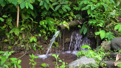 Lush Greenery and Flowing Waters at Jagir Waterfall in East Java Video stock 334001328