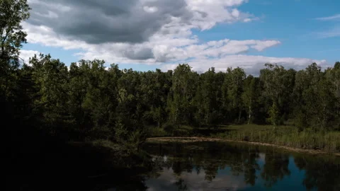 Lush Greenery and Reflective Waters Aerial Nature Scene Stock Footage 276878551