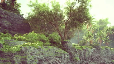 Lush greenery and vibrant trees on rocky landscape in tropical paradise setting Vídeo Stock 327195088
