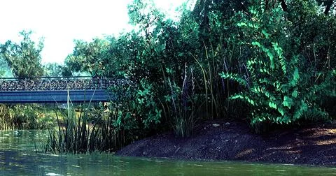 Lush greenery with a bridge over calm water in a serene natural environment Ilustração Stock
