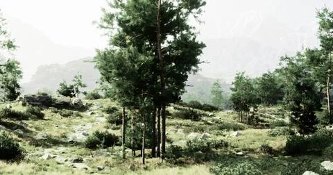 Lush greenery covers the forest floor, tall trees rise in the background Ilustração Stock
