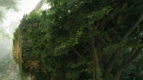 Lush greenery covers a rocky cliff near a serene forest path in daytime Stock Footage 343552701