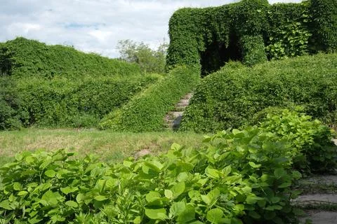 Lush greenery embraces hidden steps in a tranquil paradise Stock-Fotos