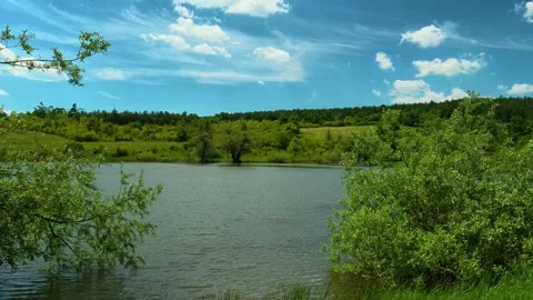 Lush greenery frames calm lake waters. Vrmdza Lake, Serbia Vídeos de archivo 338025010