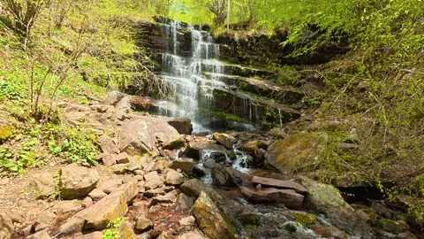 Lush greenery frames a gentle, cascading stream. Tupavica Waterfall Stock Footage 335533485