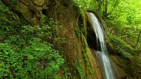 Lush greenery frames a gentle waterfall cascading over mossy rock, Serbia. Stock Footage 335834454