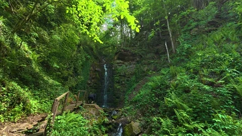 Lush greenery frames a gentle waterfall cascade. Balkans, Serbia. Vídeos de archivo 336893641