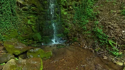 Lush greenery frames a gentle waterfall. Balkans, Serbia. Stock Footage 336893836