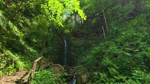 Lush greenery frames a gentle waterfall. Balkans, Serbia. Stock Footage 336893856