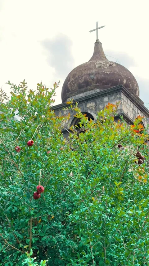 Lush greenery frames historic architecture Stock Footage 327385790