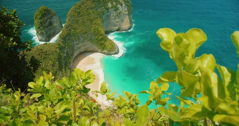 Lush greenery frames the scenic Kelingking Beach on Nusa Penida Island Bali Video stock 341295081