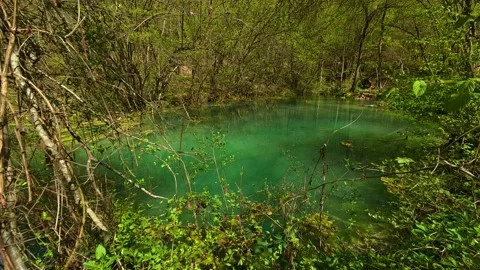 Lush greenery frames a serene turquoise pond. Balkan, Eastern Europe, POV Video stock 333589378