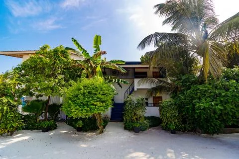 Lush greenery frames a tranquil tropical villa 스톡 사진