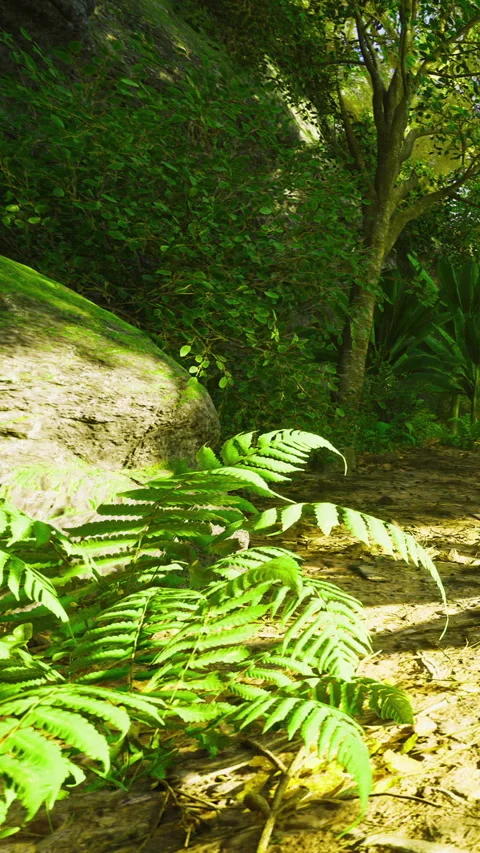 Lush greenery lines a peaceful forest path, beckoning exploration Stock Footage 341395528